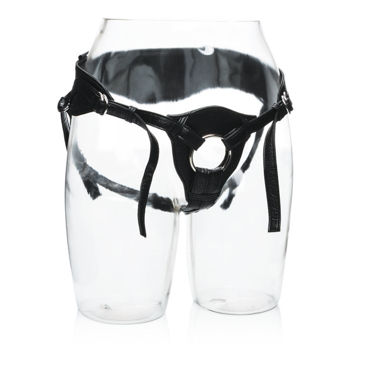 Her Royal Harness Queen - GreatEagleInc