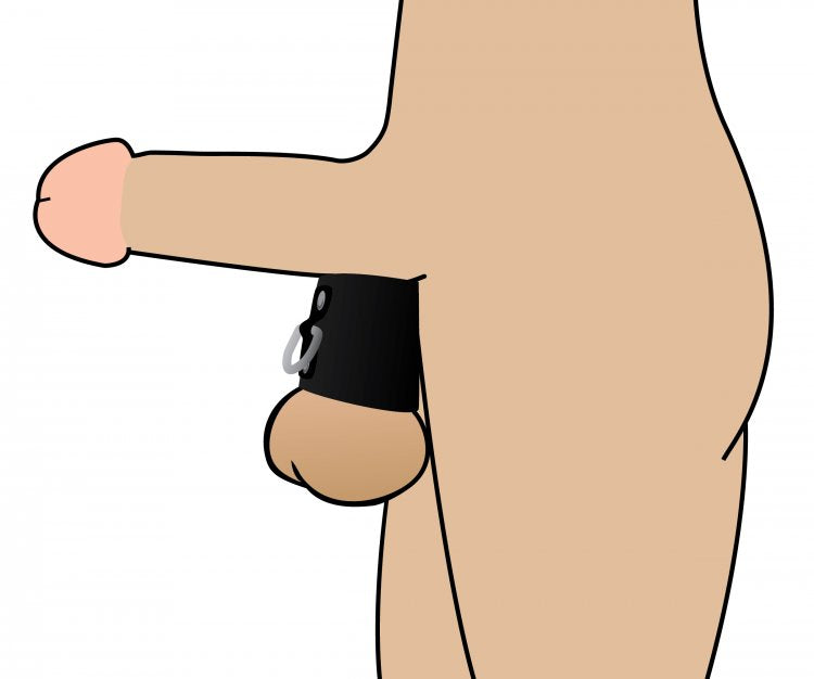 Strict Ball Stretcher W D-ring - GreatEagleInc