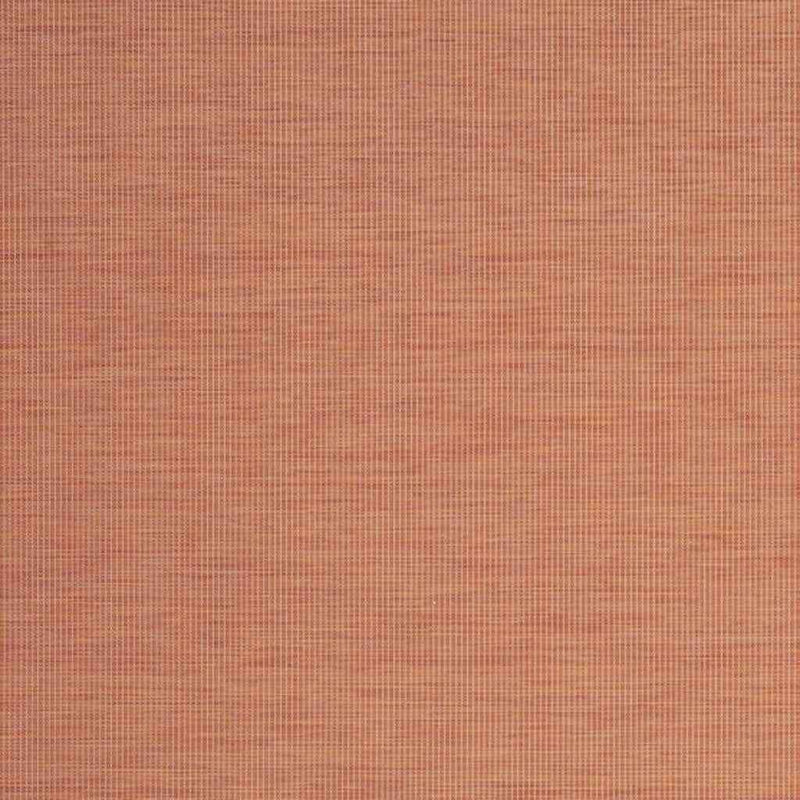 230032430