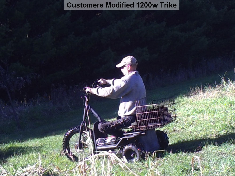Electric Trike 48v 1200w - GreatEagleInc