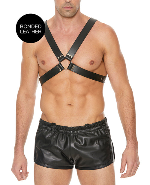 Shots Ouch Men's Large Buckle Harness - Black - GreatEagleInc