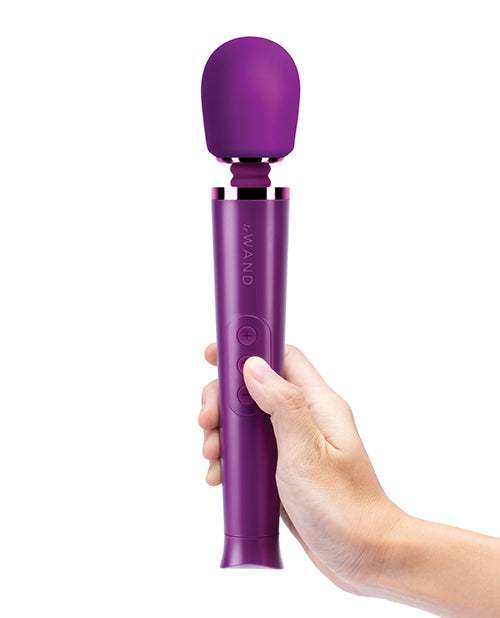 Le Wand Petite Rechargeable Massager - Blue