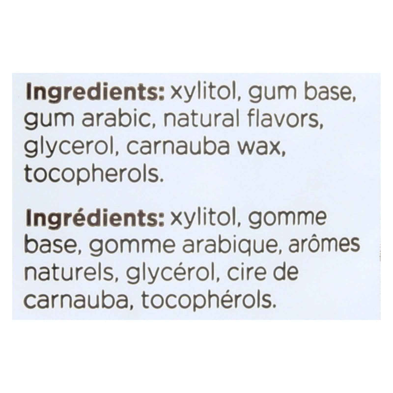 Pur Gum Sugar Free Gum - Chocolate Mint - Case Of 12 - 77 Gm