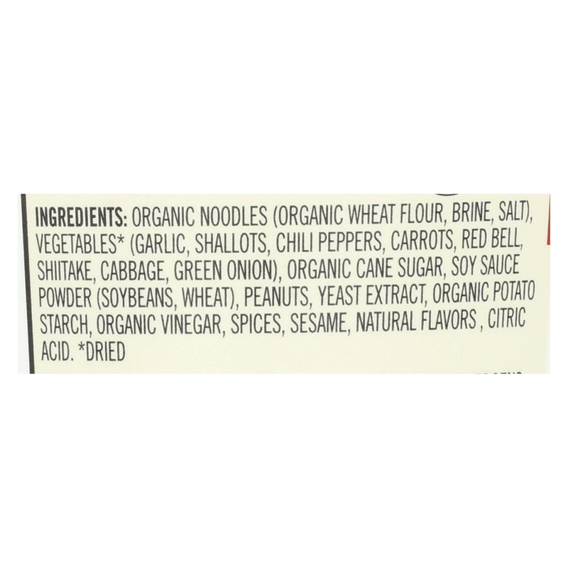 Dr. Mcdougall’s Asian Noodle Soup, Spicy Kung-pao  - Case Of 6 - 2 Oz - Home & Garden