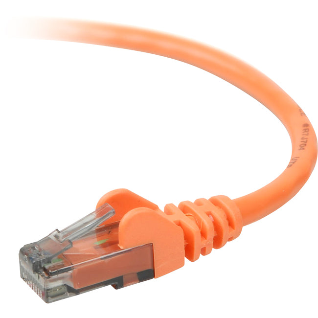 Belkin 900 Series Cat. 6 UTP Patch Cable - Computers & Electronics