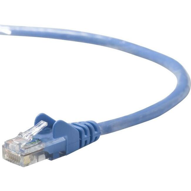 Belkin Cat. 5e Patch Cable - Computers & Electronics