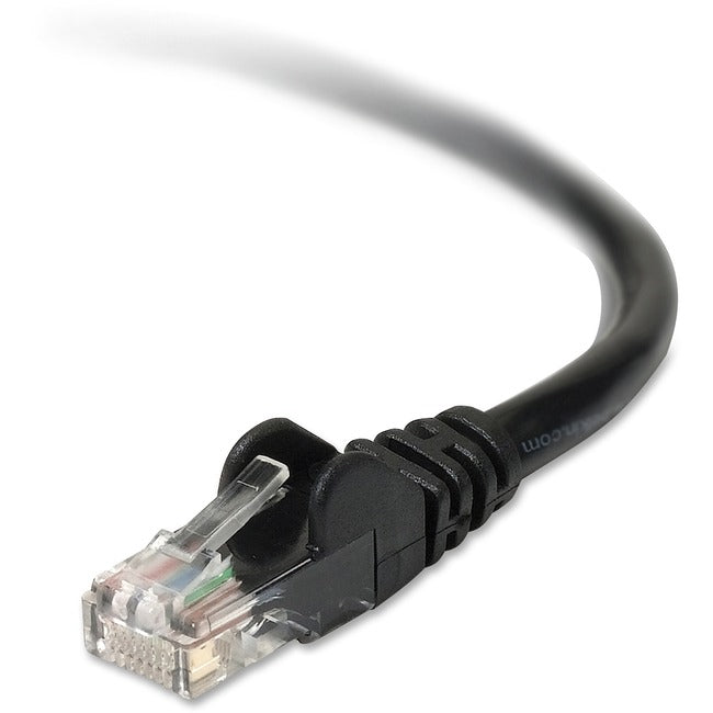 Belkin Cat. 6 UTP Patch Cable - Computers & Electronics