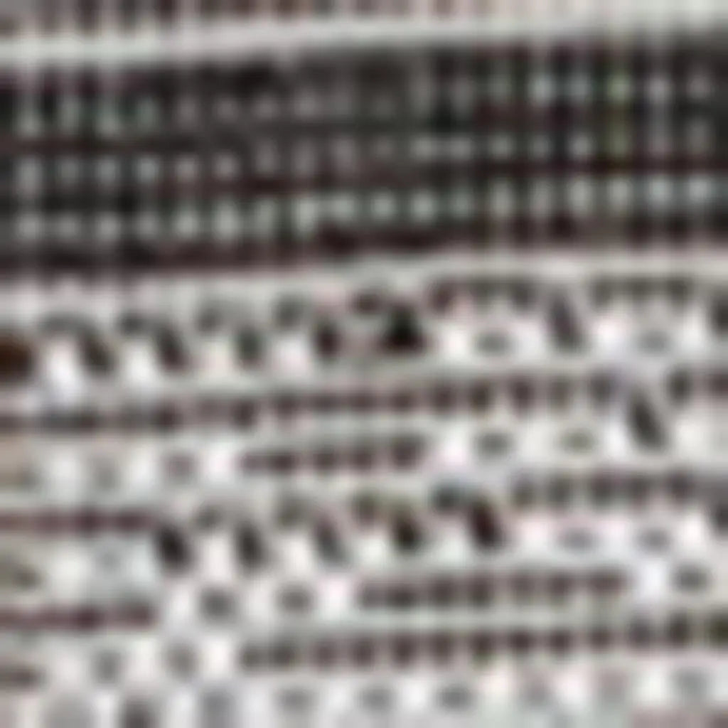 8' X 10' Black And Cream Indoor Outdoor Area Rug Homeroots Outdoor