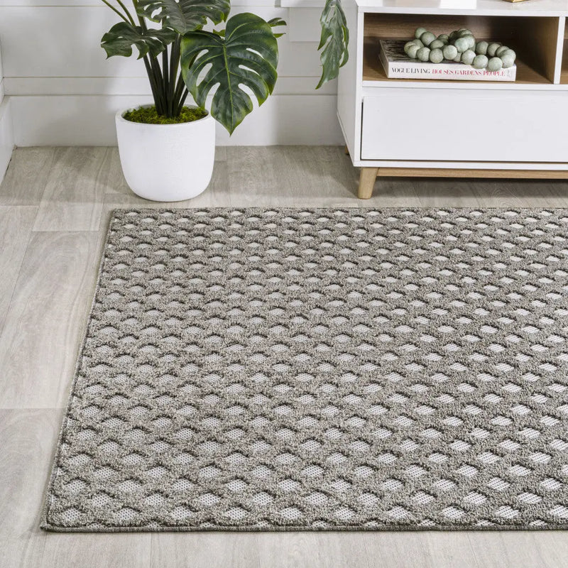 8' X 10' Dark Gray And Ivory Trellis Indoor Outdoor Area Rug - GreatEagleInc
