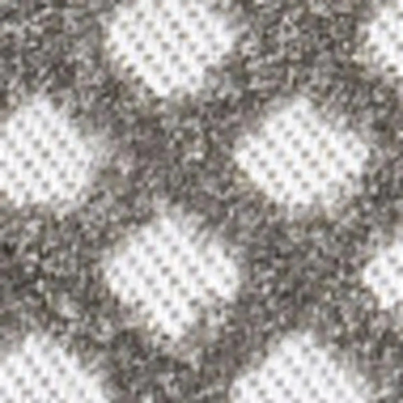 8' X 10' Dark Gray And Ivory Trellis Indoor Outdoor Area Rug - GreatEagleInc