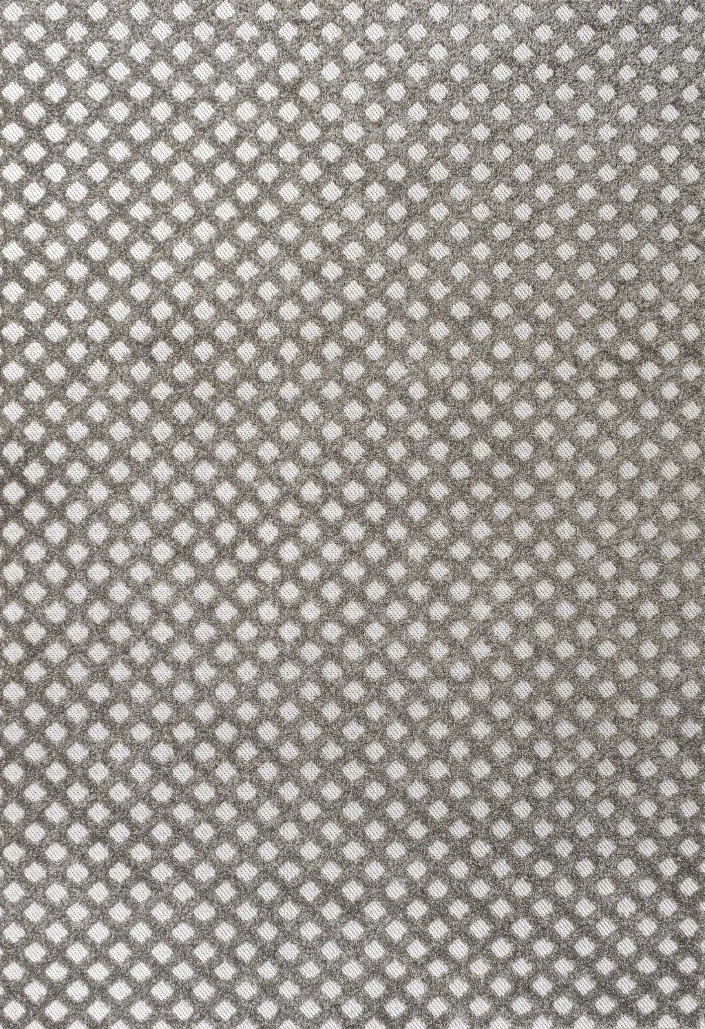 8' X 10' Dark Gray And Ivory Trellis Indoor Outdoor Area Rug - GreatEagleInc