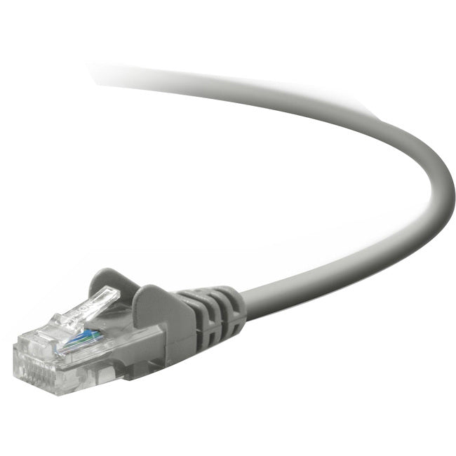 Belkin Cat. 5E UTP Patch Cable - Computers & Electronics