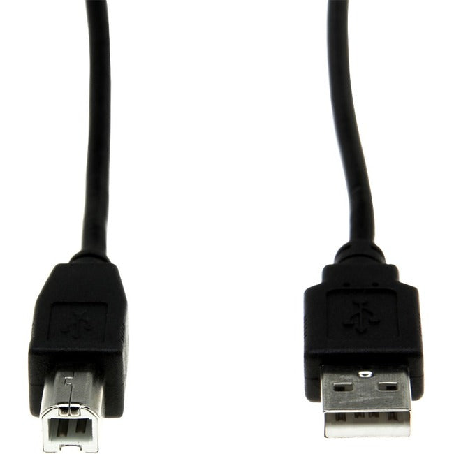 Rocstor Premium High Speed USB 2.0 - 6 ft USB cable - 4 pin USB Type A (M) - 4 pin USB Type B (M) - 1.8 m (USB / Hi-Speed USB ) - Type A Male - Type B Male - For printers, scanners or external USB hard drives - 6ft CABLE M/M Default Title