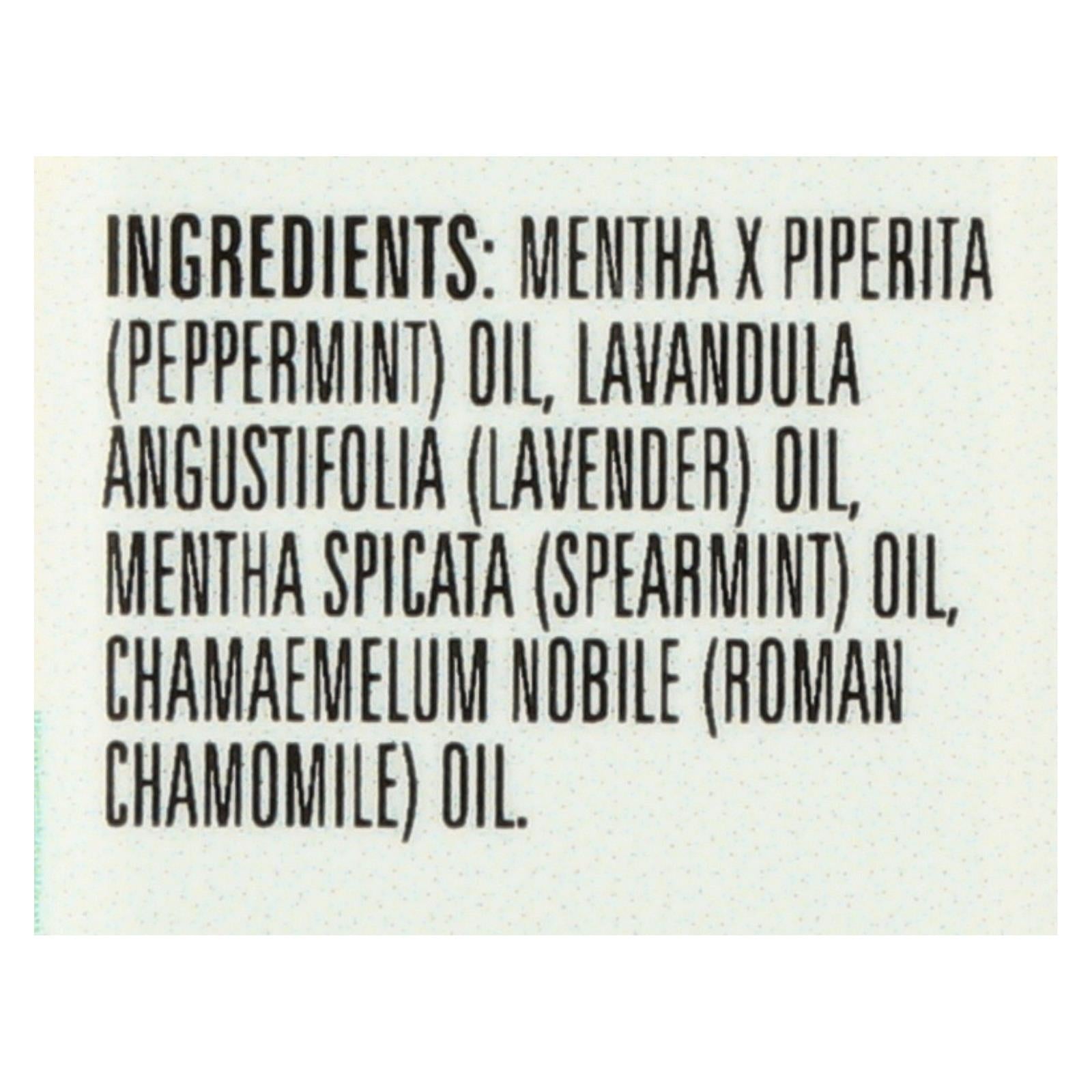 Aura Cacia - Essential Solutions Oil Gray Matter Batter - 0.5 Fl Oz - Eco-Friendly Home & Grocery