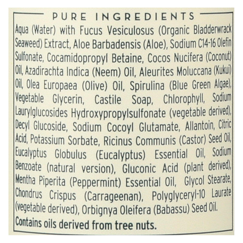The Seaweed Bath Co Body Wash - Eucalyptus & Peppermint - 12 Fl Oz - Eco-Friendly Home & Grocery