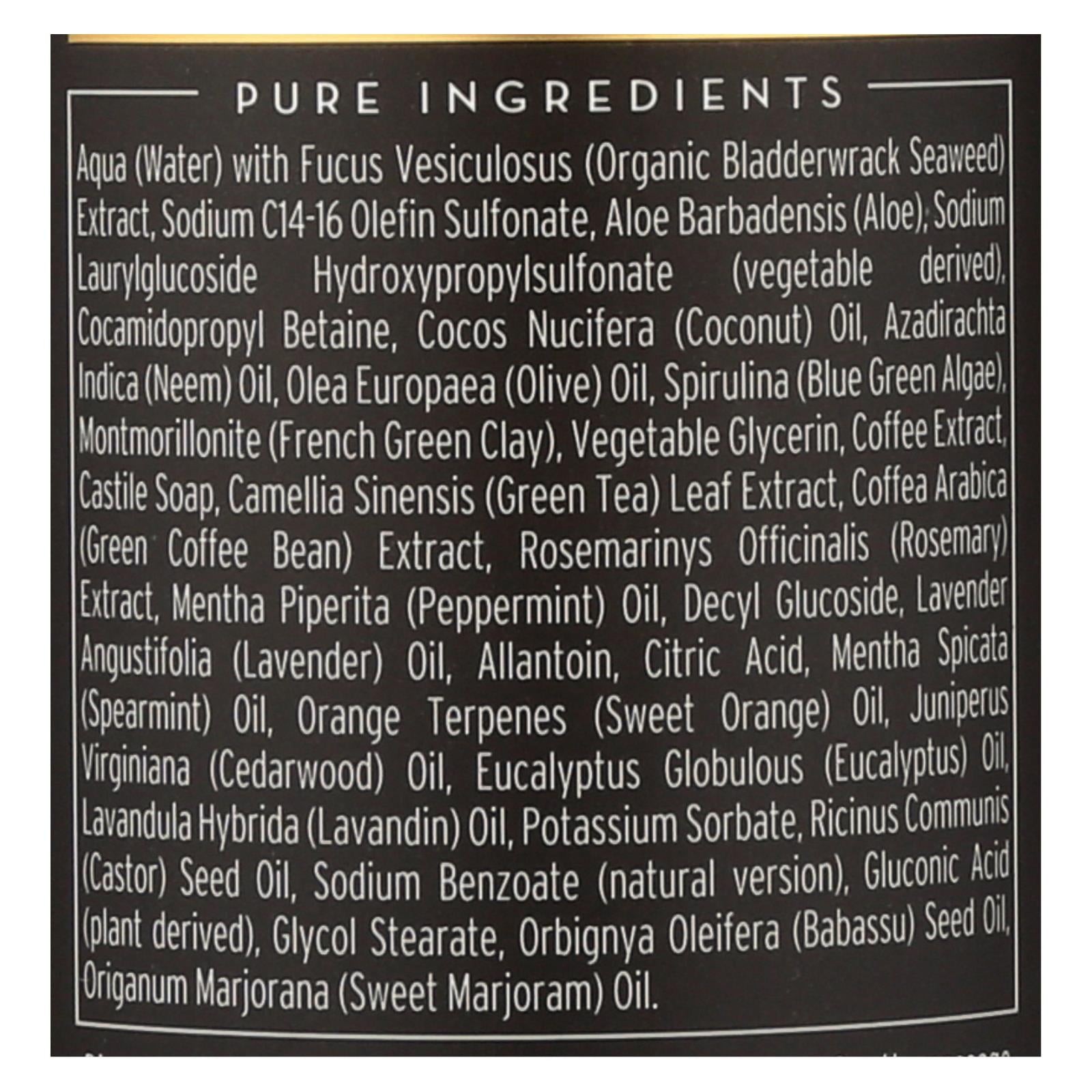 The Seaweed Bath Co Bodywash - Detox - Purify - Awake - 12 Fl Oz - GreatEagleInc