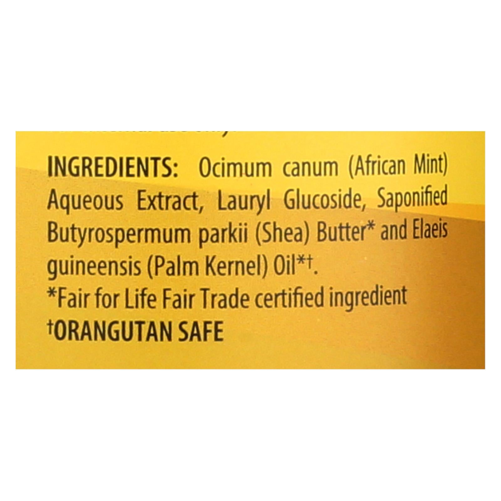 Alaffia - African Black Soap - Unscented - 32 Fl Oz. - GreatEagleInc