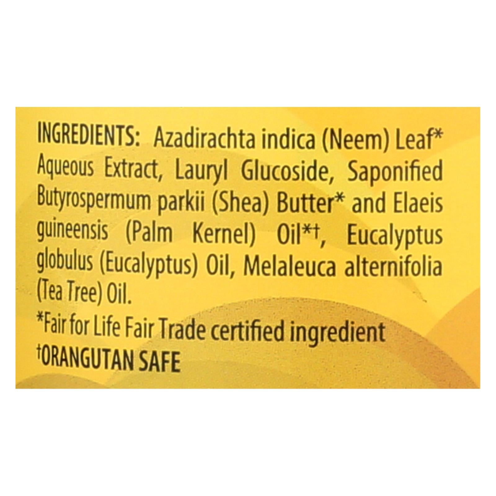 Alaffia - African Black Soap - Eucalyptus Tea Tree - 32 Fl Oz. - Eco-Friendly Home & Grocery