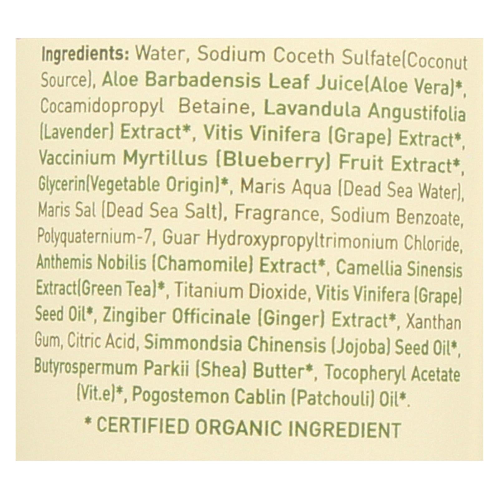 Ecolove Shampoo - Purple Fruit Shampoo For Colored And Very Dry Hair  - Case Of 1 - 17.6 Fl Oz. - GreatEagleInc