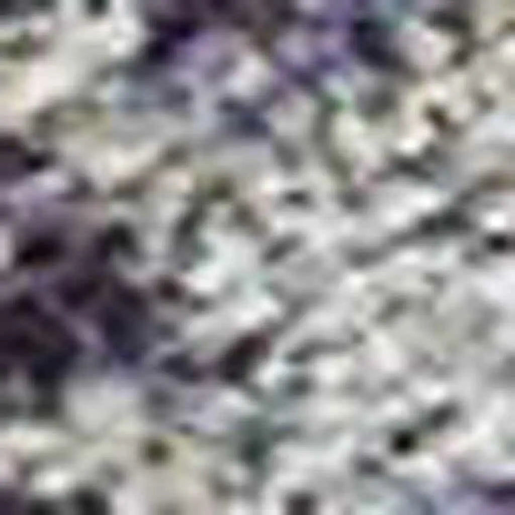 264068558