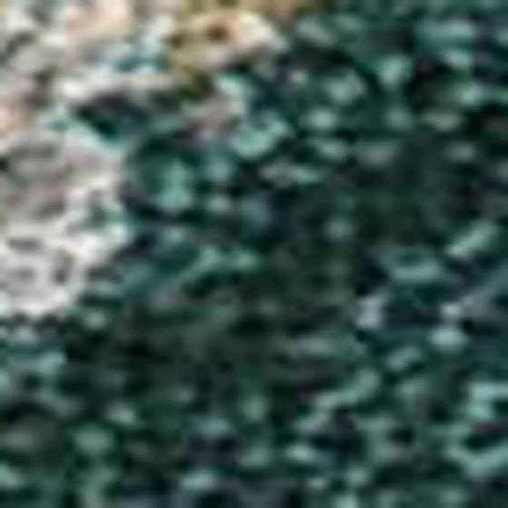 264068704