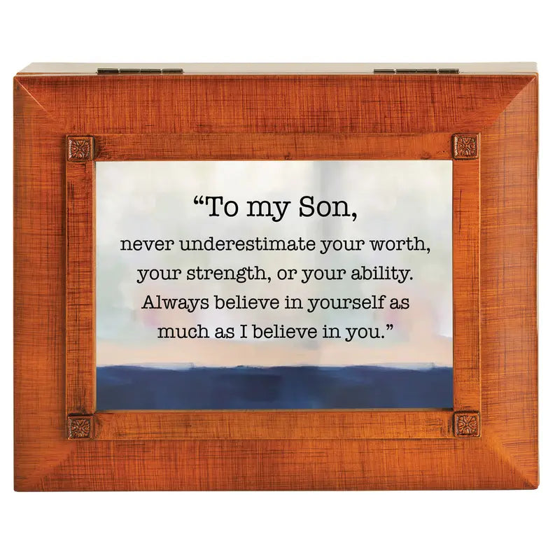 Accessory Box My Son-Never Underestimate Dicksons Inc