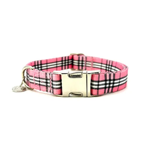 Adjustable Collar Urban Dog Stars