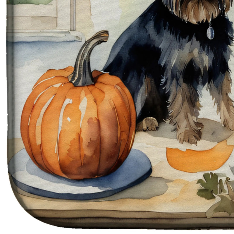 Affenpinscher Fall Kitchen Pumpkins Dish Drying Mat Caroline's Treasures
