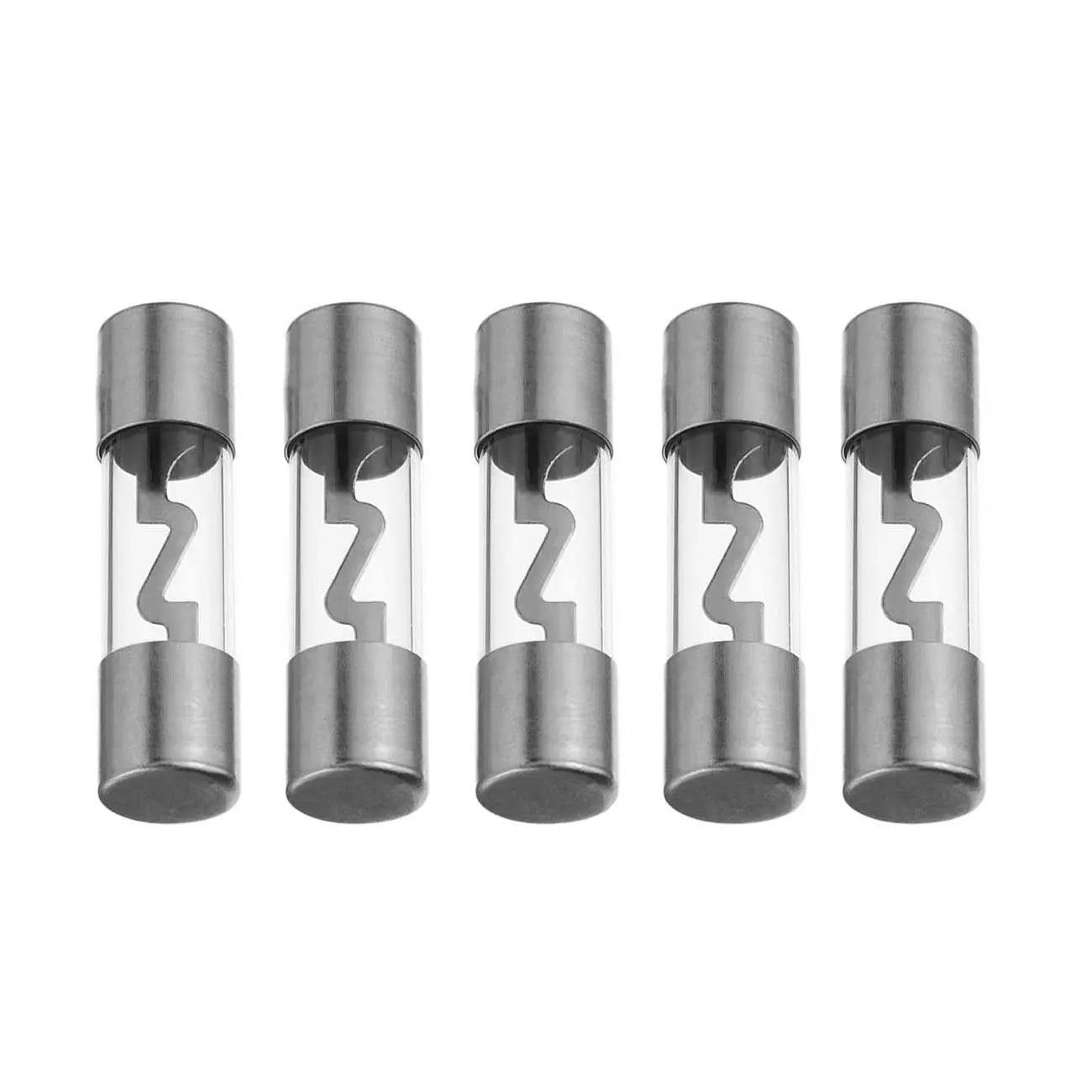 Agu Fuses 100amp 5pk Platinum Xscorpion Xscorpion