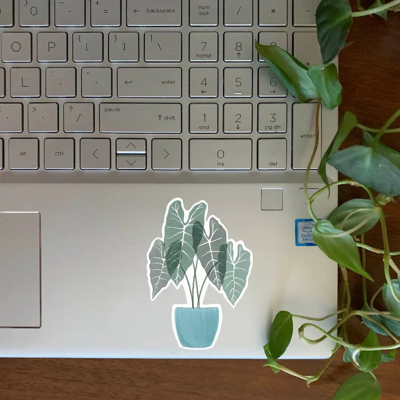 Alocasia Sticker The Crafted Prints