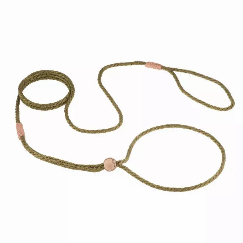 Alvalley Nylon Adjustable Loop Lead Alvalley LLC