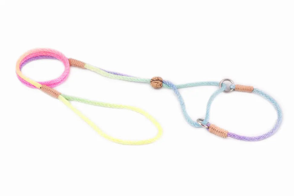 Multicolor pastel rope dog leash with natural fiber accents and metal clips, perfect for stylish pet walks.