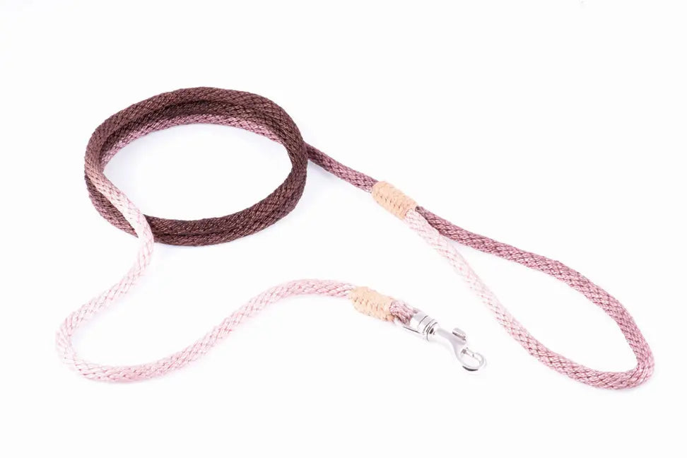 Alvalley Nylon Snap Leads Alvalley LLC