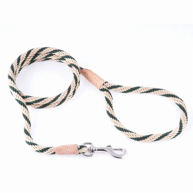 Alvalley Nylon Snap Leads - GreatEagleInc