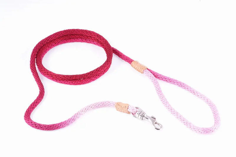 Alvalley Nylon Snap Leads Alvalley LLC