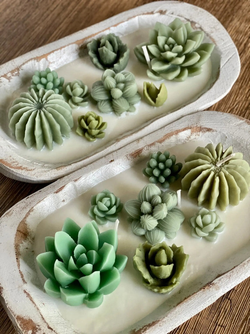 Arizona Dream Scented Cactus Garden Candle in Wooden Bowl AmberLane