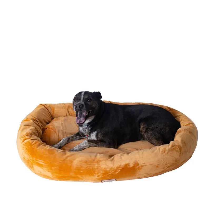 Armarkat Bolstered Pet Bed and Mat, ultra-soft Dog Bed S/M/L AeroMark