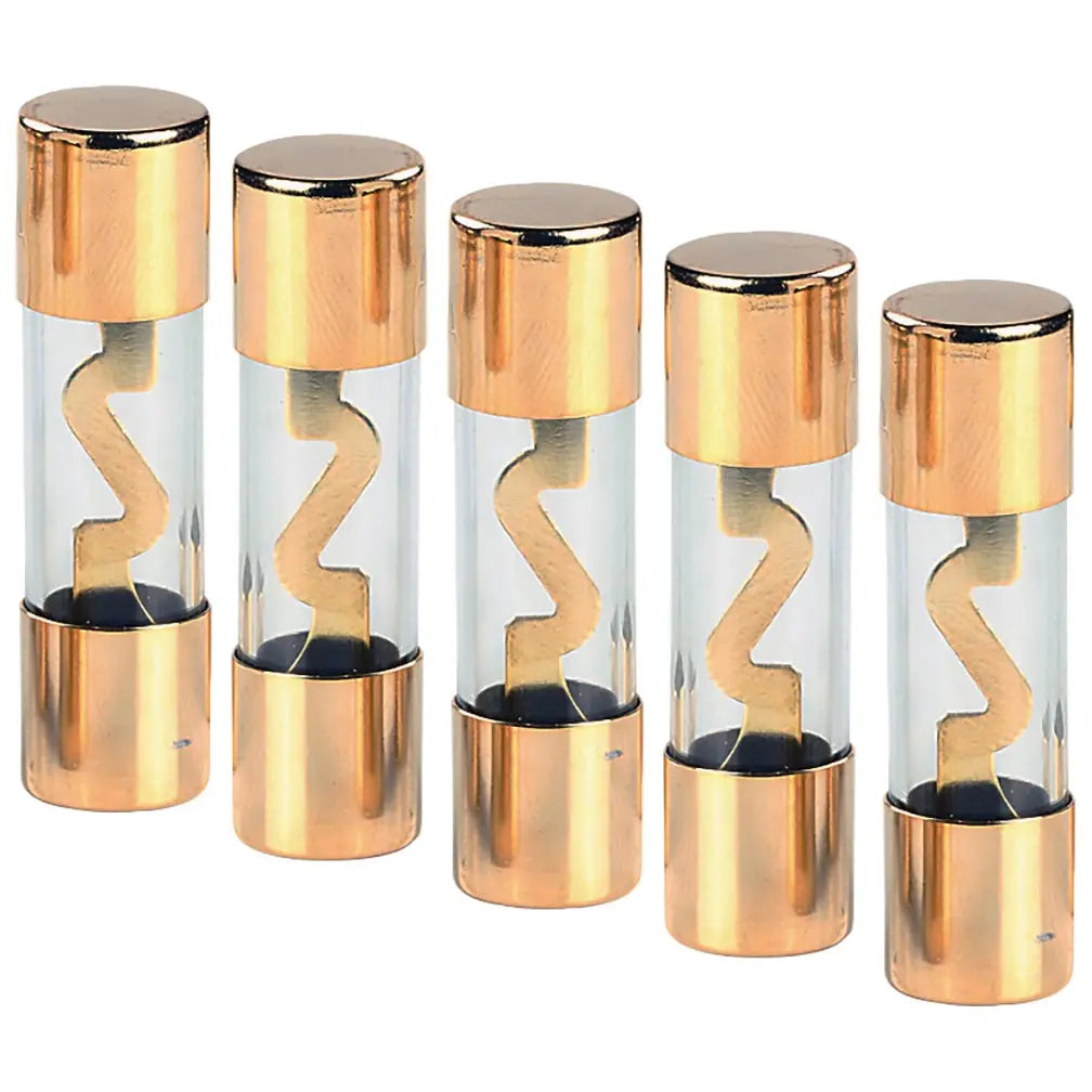 Audiopipe Agu 100 Amp Fuse (5 Pack) Nippon