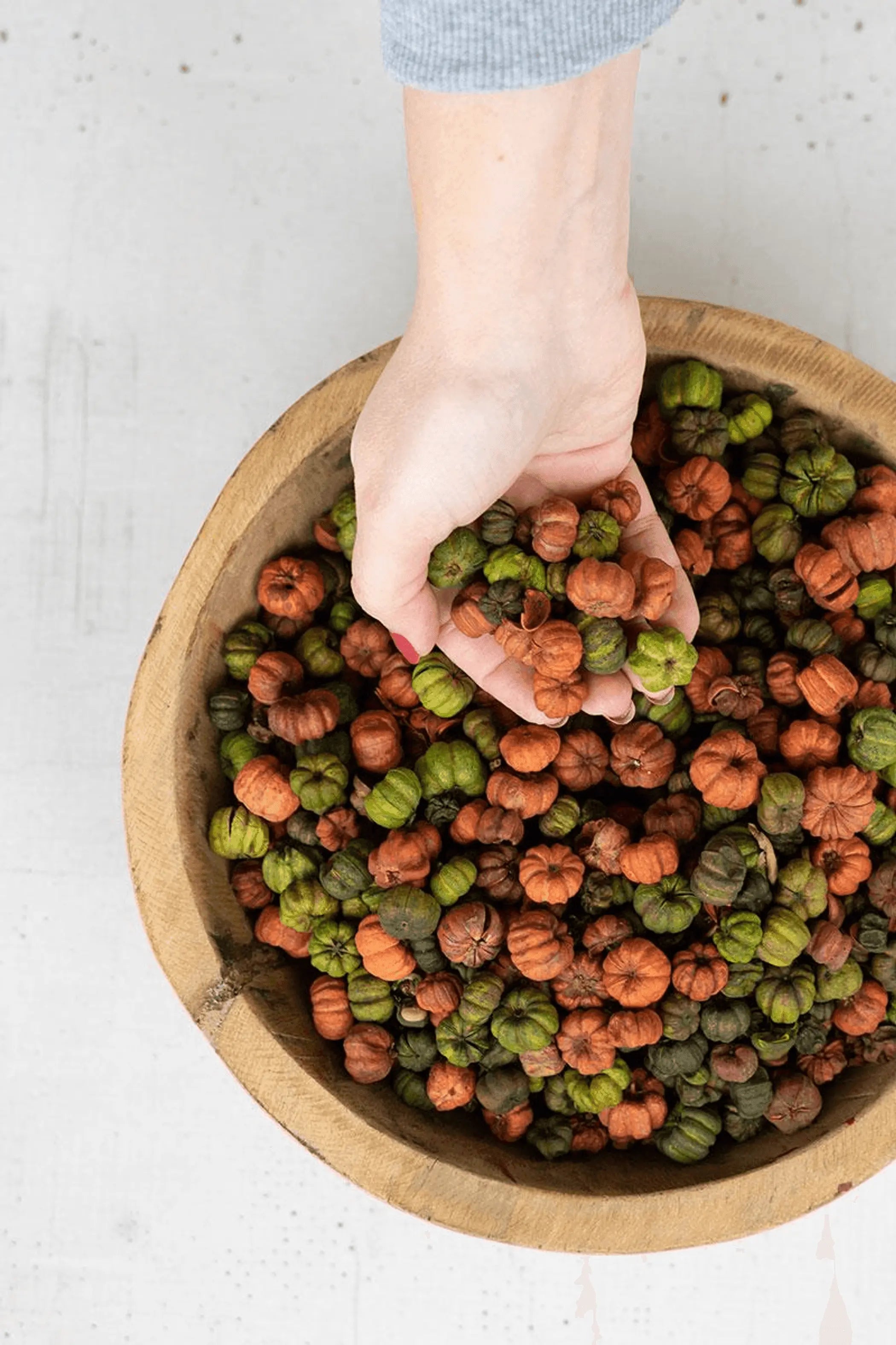 BAG OF ORANGE AND GREEN PUTKA PODS - 12 OZ. Kalalou