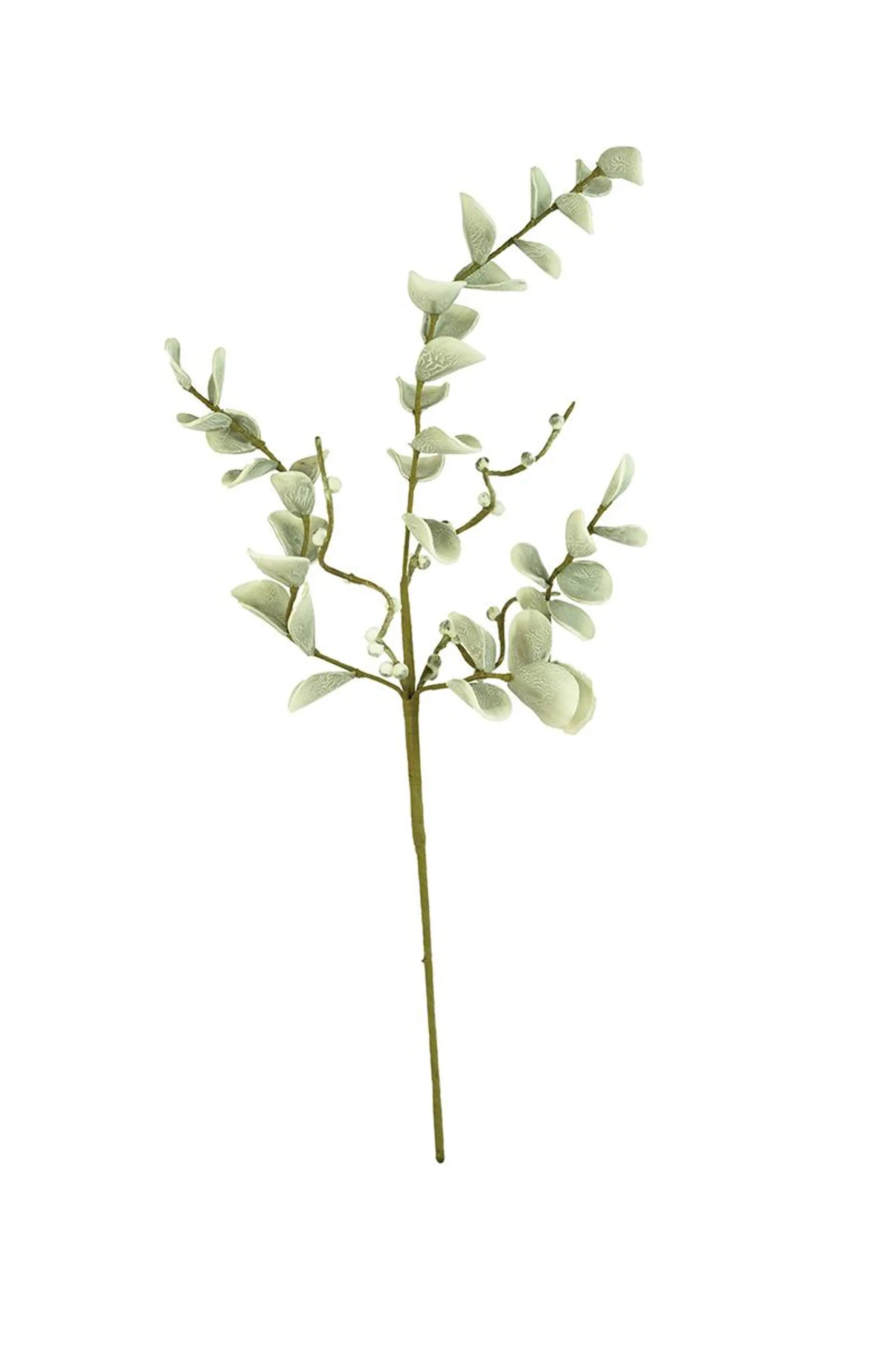 BOTANICA #2496 Kalalou