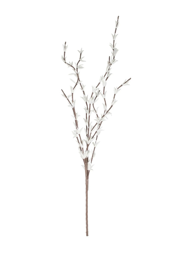 BOTANICA #914 Kalalou