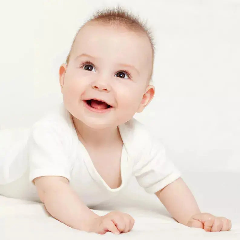 Bambini Short Sleeve One Piece 5 Pack Bambini