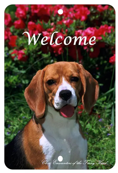 Beagle - Best of Breed  Indoor/Outdoor Aluminum Sign Best of Breed