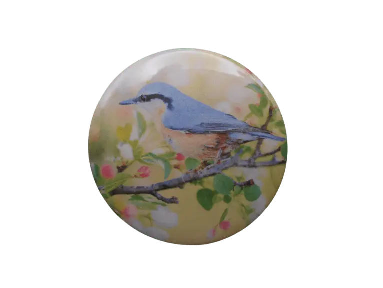 Beauty Bird Bravo Buttons
