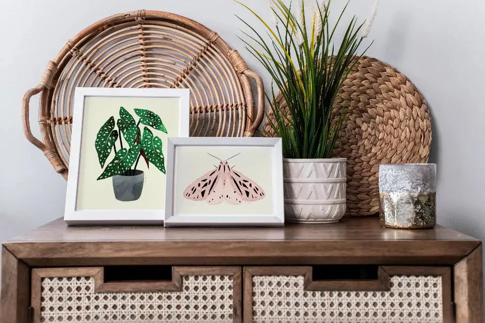 Begonia Maculata The Crafted Prints