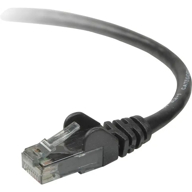 Black Cat6 Ethernet cable with transparent connector, ideal for high-speed networking and data transfer.