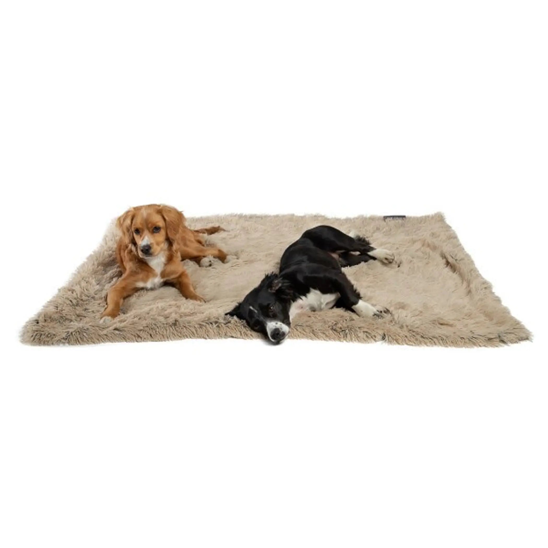Best Friends by Sheri Blanket Shag Best Friends by Sheri