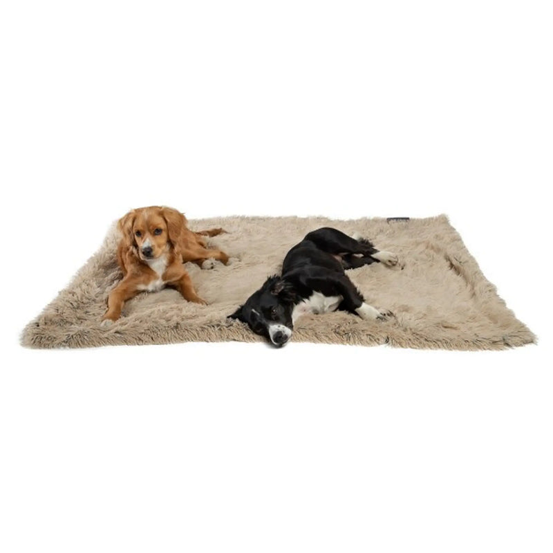 Best Friends by Sheri Blanket Shag Best Friends by Sheri