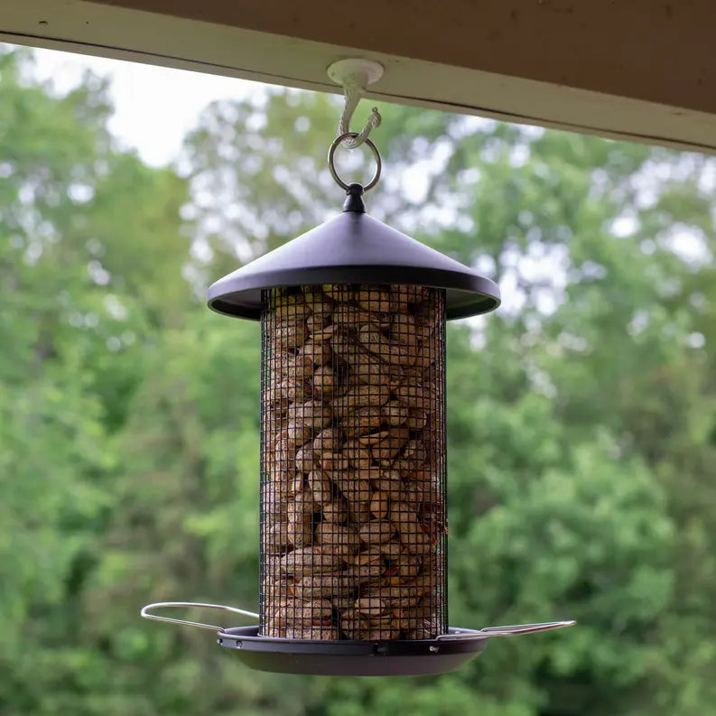BirdFeeder Metal Dual Nut and Seed Dicksons Inc