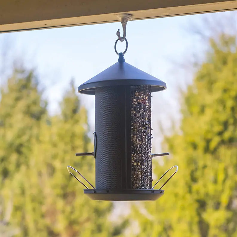 BirdFeeder Metal Dual Nut and Seed Dicksons Inc